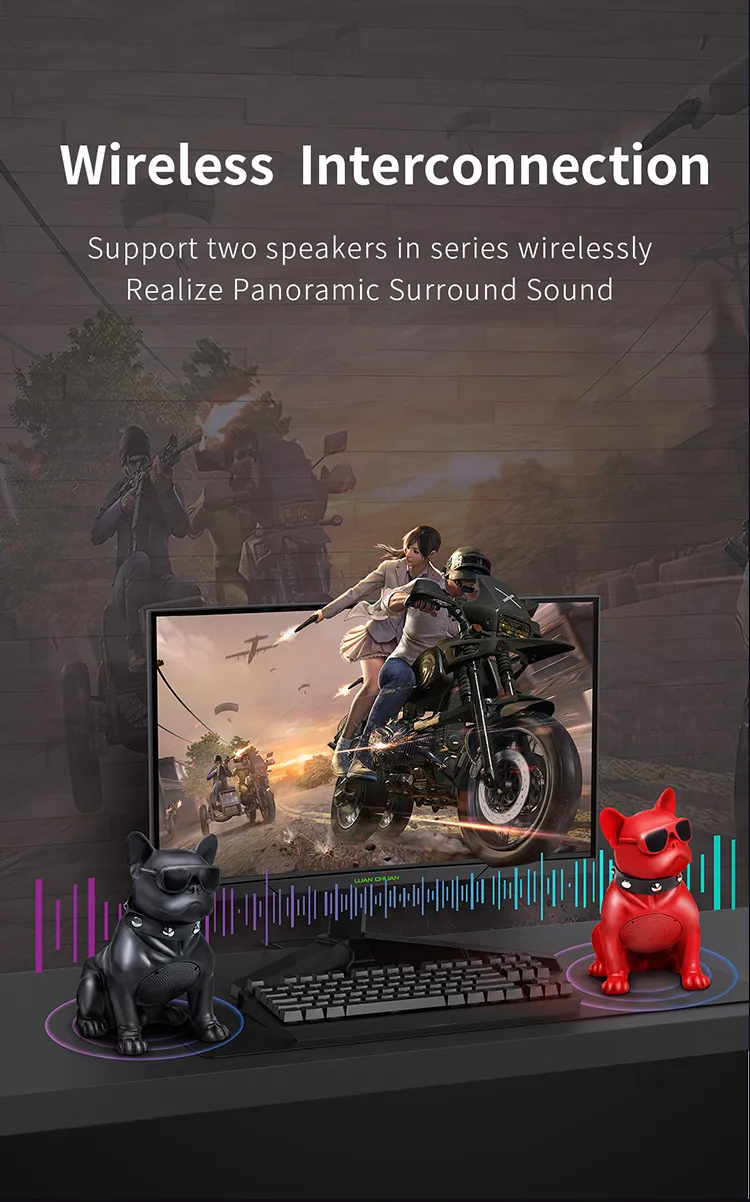 RECCI RSK-W18 BullDog Wireless Speaker with Microphone