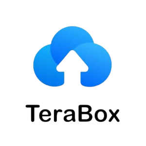 TeraBox Premium Subscription